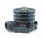 WATER PUMP ASS'Y:25100-93G00