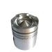 PISTON:3017349