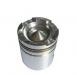 PISTON:3076811
