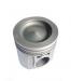 PISTON:4955233