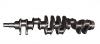 CRANKSHAFT:6136-31-1010