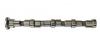 CAMSHAFT CAMSHAFT:3929886