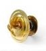 THERMOSTAT:600-421-6310