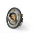 THERMOSTAT:8-97300787-2